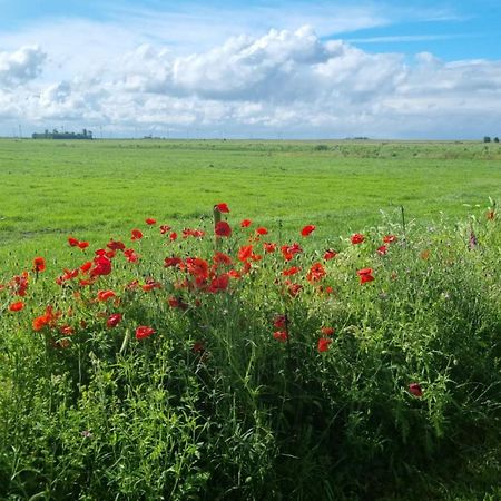 Lyklamastate Nijemirdum Zewnętrze zdjęcie