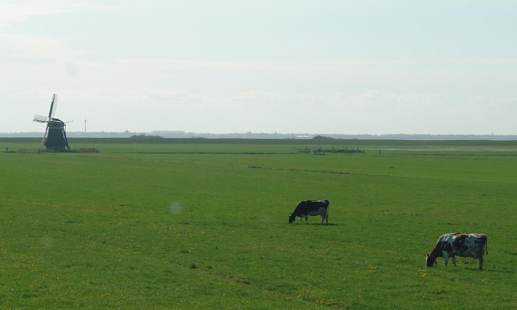 Lyklamastate Nijemirdum Zewnętrze zdjęcie